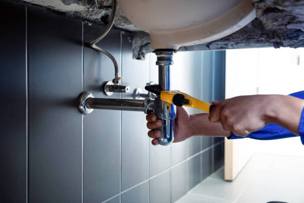 Professional Plumbing  in Farmington, MO